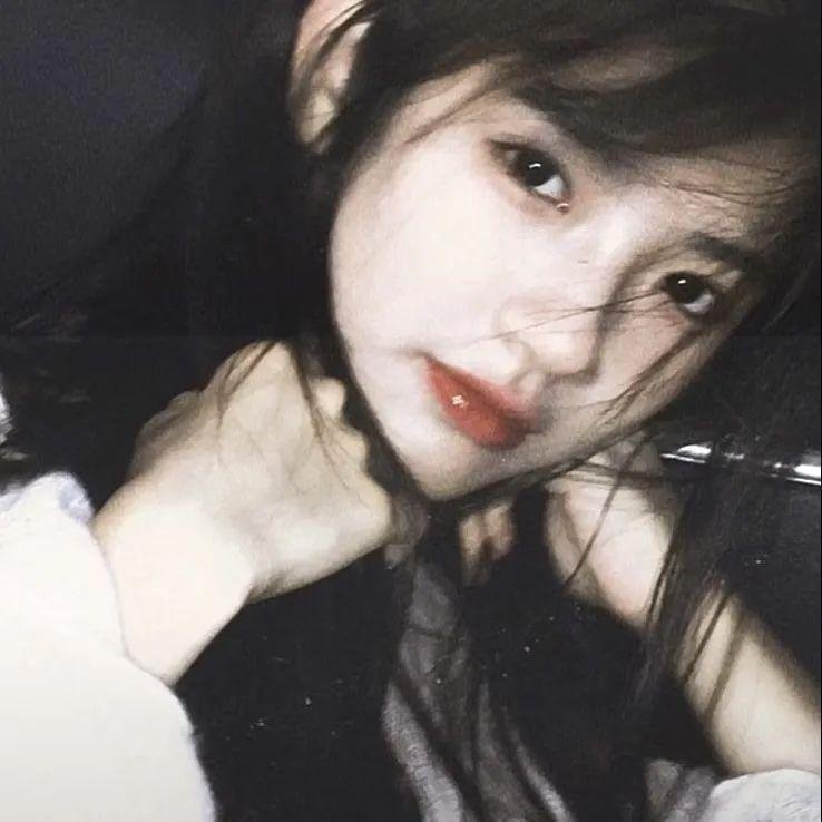 几度菊花香